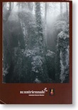 king_Arthur_cover